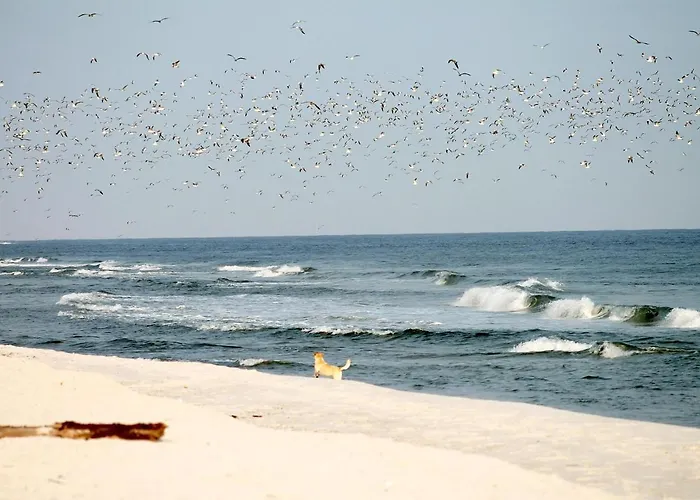 White Pearl 3.01 Apartamento *